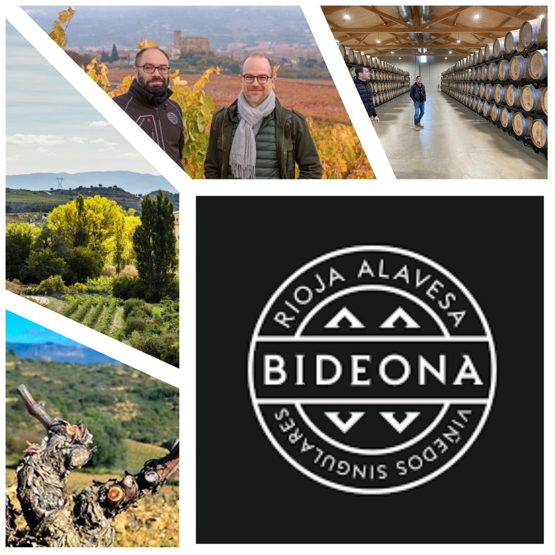 Meet the Winemaker: Bideona (Rioja, Spain)
