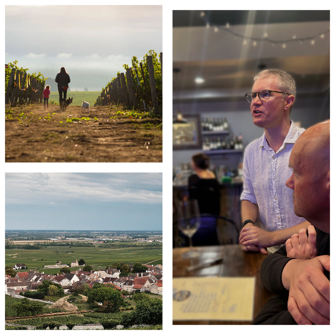 Burgundy vs. Oregon Wines with Nick Jackson MW