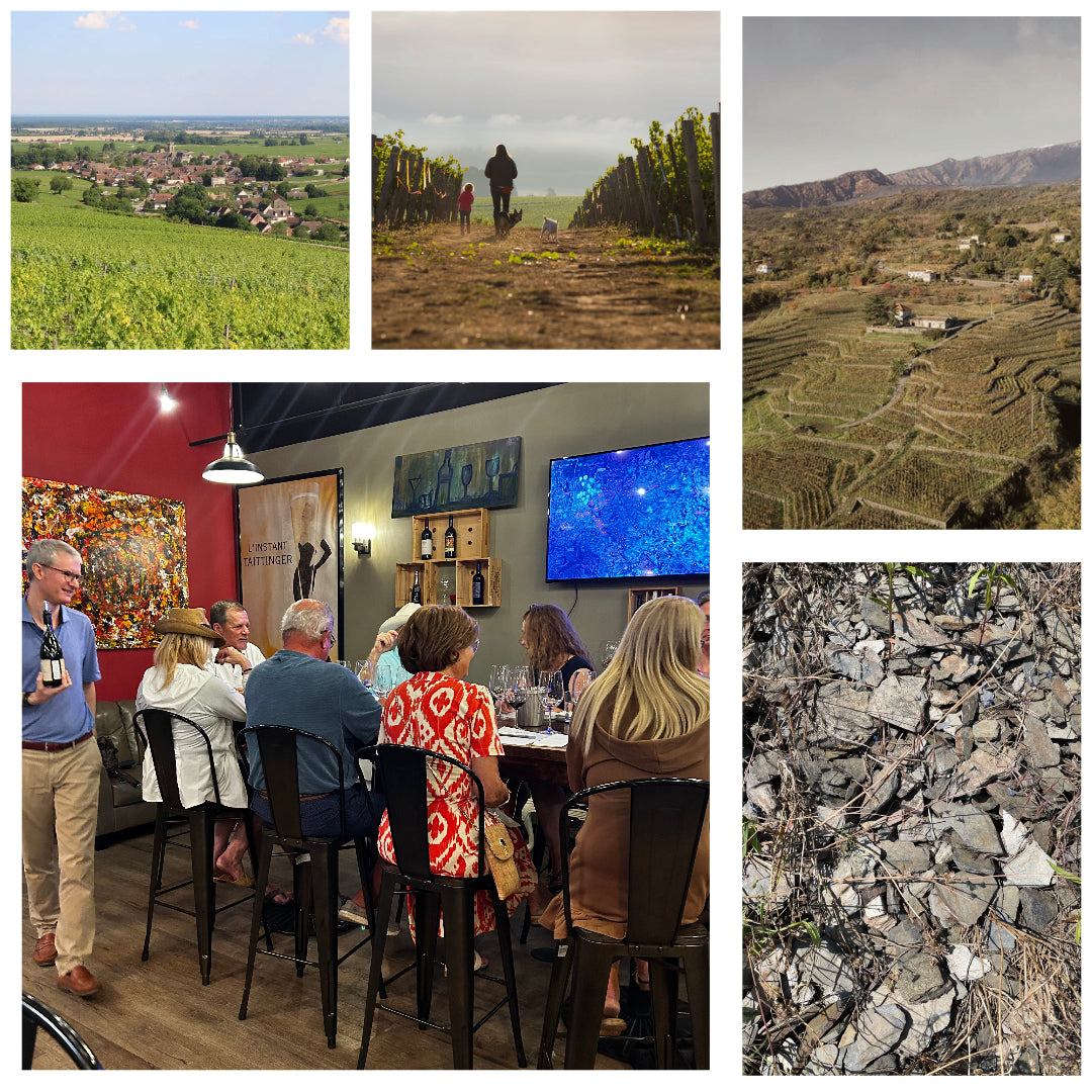 Single Vineyard Wines: A Global Exploration with Nick Jackson MW