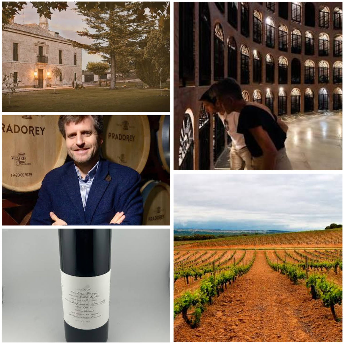 Pradorey: An Exclusive Taste of Ribera del Duero with Nicholas Martin
