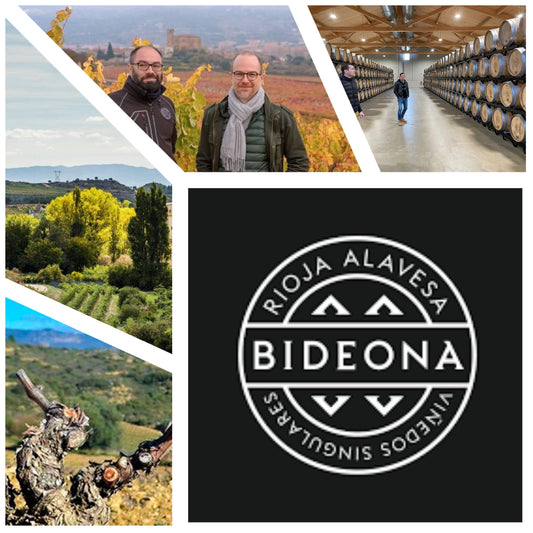Rioja Masterclass with Bodega Bideona