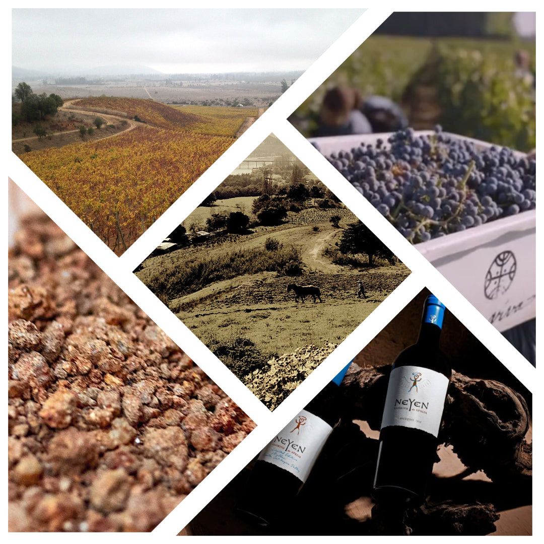 Chile Uncovered: From the Coast to the Andes