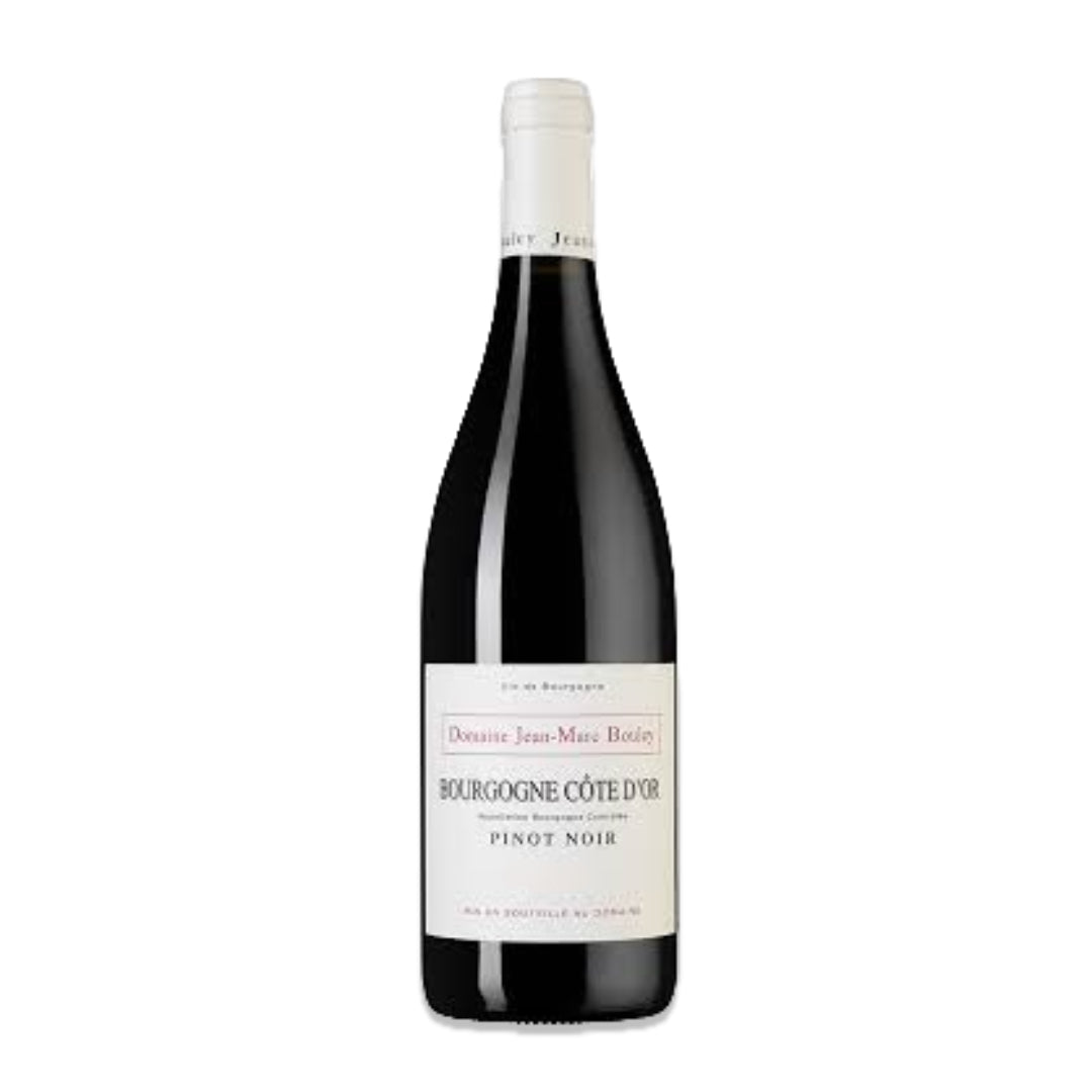 Patrick Bouley Bourgogne Cote d'Or Pinot Noir 2019