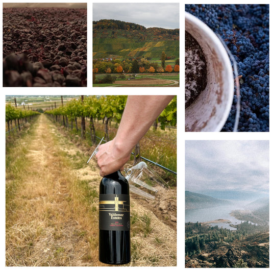 A Pacific Northwest Wine Experience: Oregon & Washington in the Glass