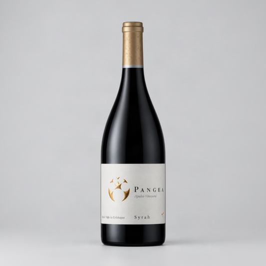 Ventisquero Pangea Syrah 2017 Apalta Colchagua Valley Chile red wine bottle