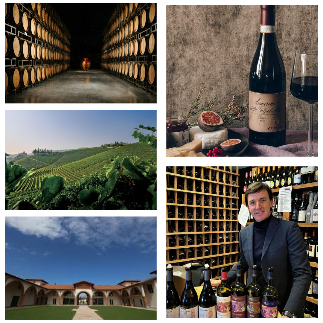 Barolo & Amarone with IMTC Wine Ambassadors: The Great Reds of the North