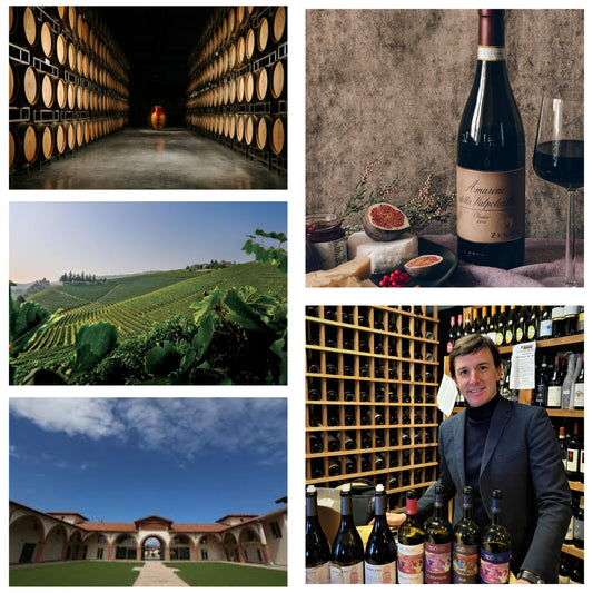 Barolo & Amarone with IMTC Wine Ambassadors: The Great Reds of the North